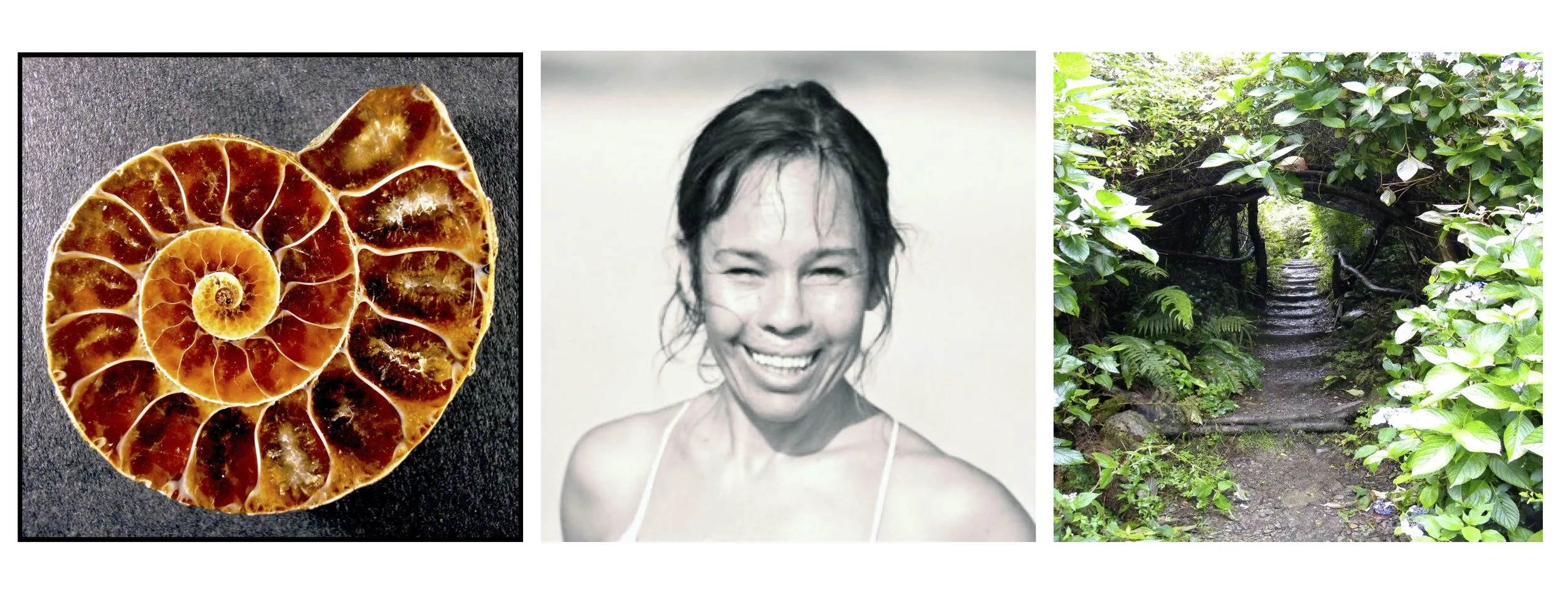 Lomi Lomi Nui — Sacred Hawaiian Massage • Transformational Retreats • Ancient Wisdom
